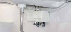 aqueratum